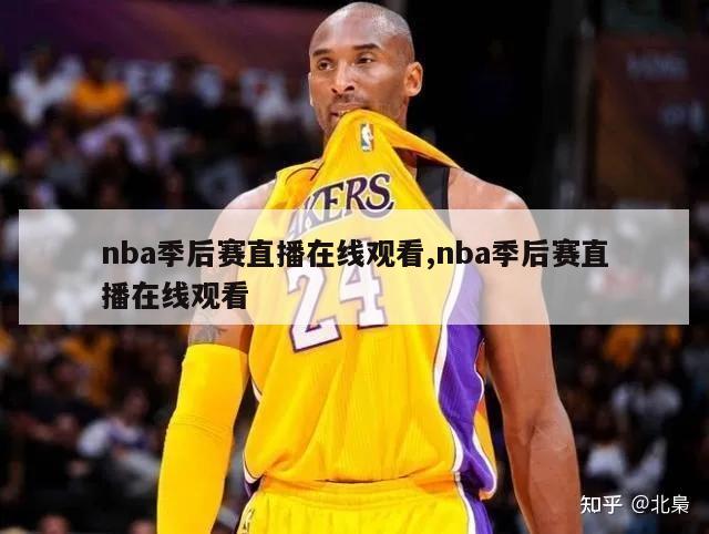 nba季后赛直播在线观看,nba季后赛直播在线观看